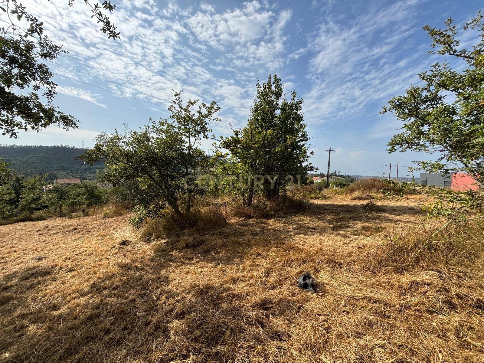 Fotografia 3 de Terreno com viabilidade construtiva em Santiago de Litém - Localização Central e Acessível