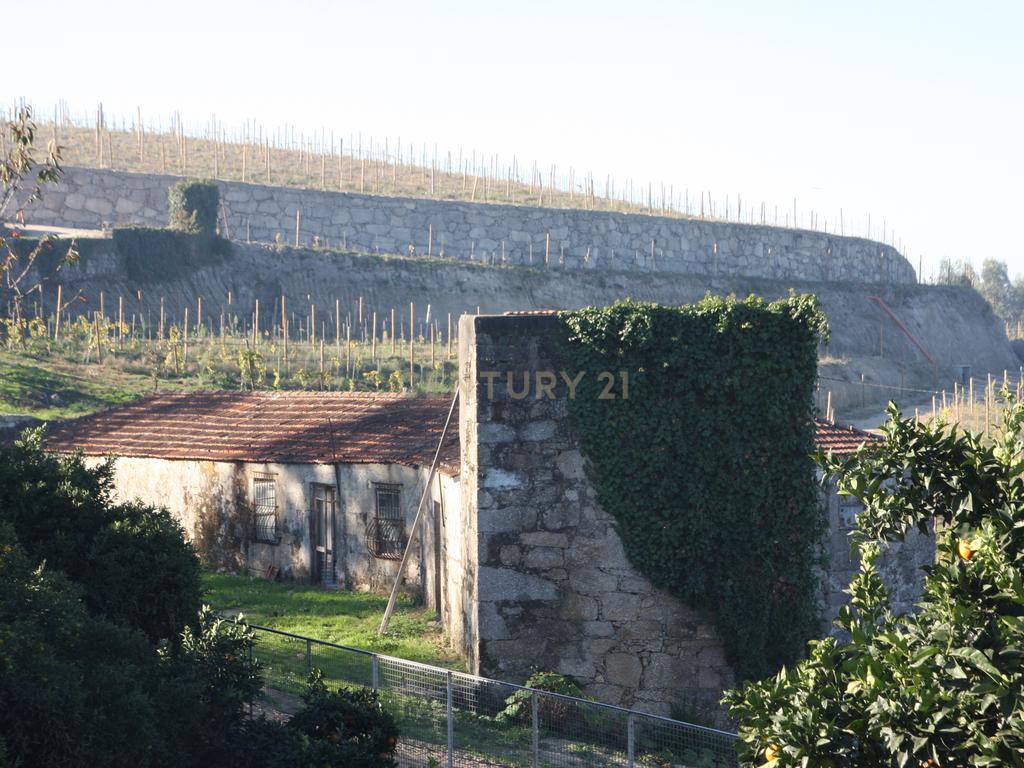 Quinta da Cerqueda, Santo Tirso - Image 35