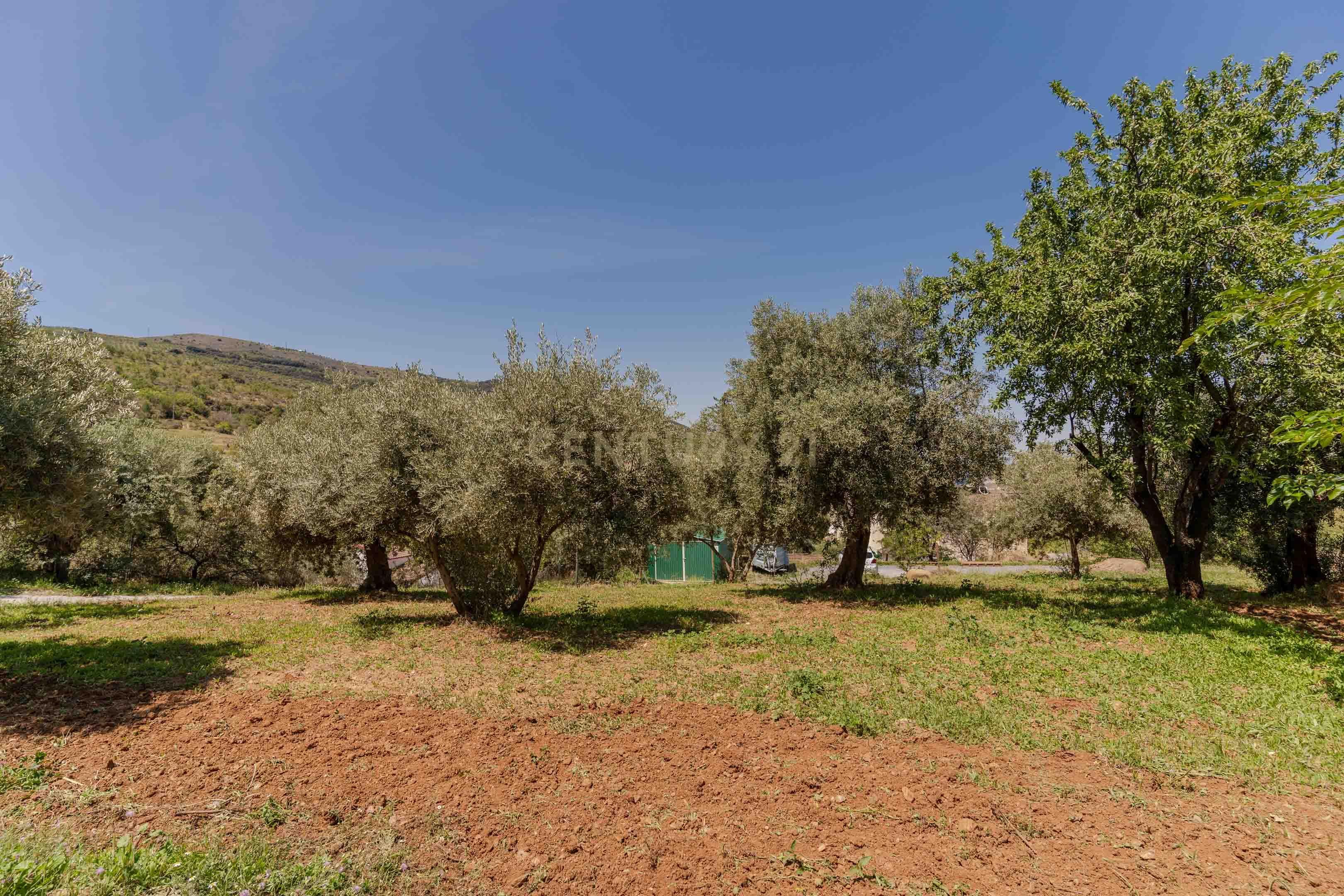 undefined - Image 81