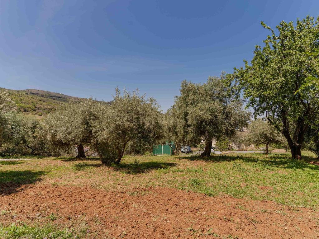 undefined - Image 81