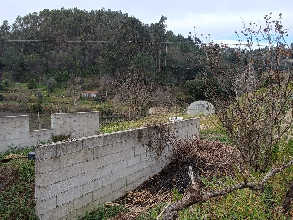 Casa com terreno de construção e agrícola perto do rio Douro em Granja, S. Tomé de Covelas, Baião, Porto - Image 19