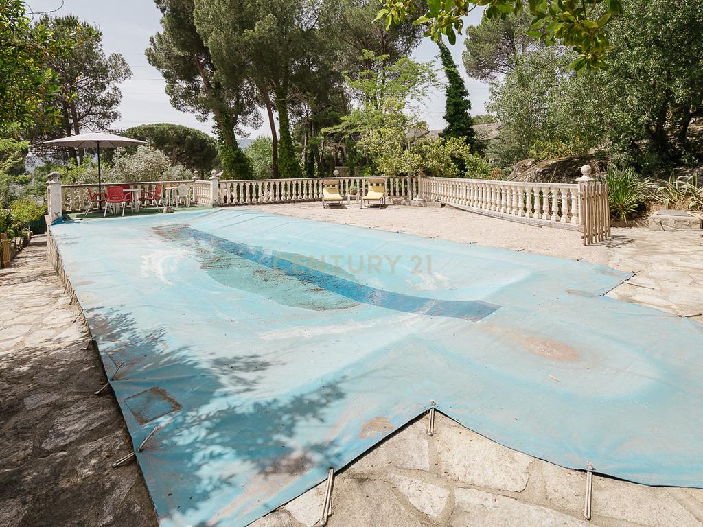  - Image 31
