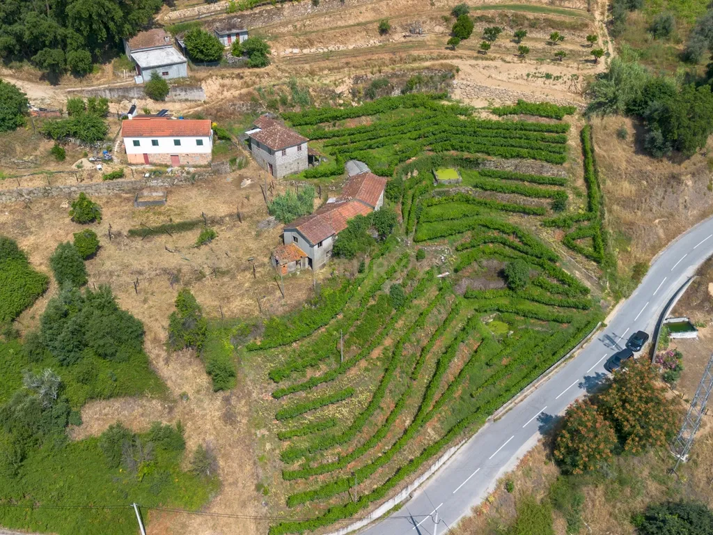 Quintinha com 2 casas em pedra para recuperar + 2 terrenos com vinhas-( 8.210m2 ) -Douro Vinhateiro! - Image 49