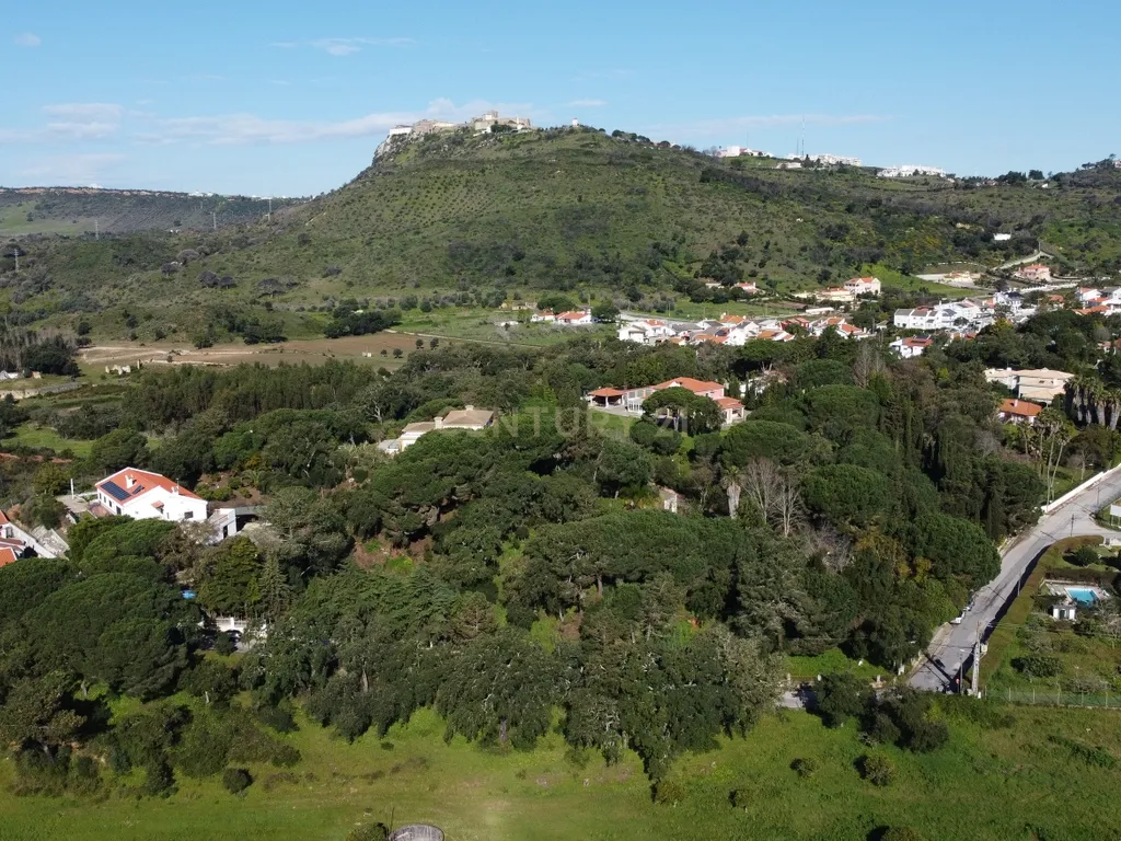 🏡 Terreno para Construção – 2.746 m² | Oportunidade Única Perto de Setúbal! 🌿 - Image 35