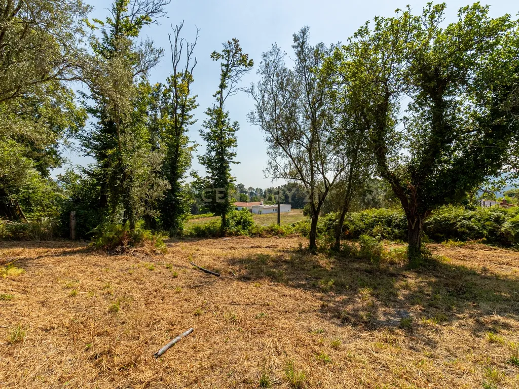 Quinta para reconstrução , em Anais, em Ponte de Lima – a vila mais antiga de Portugal. - Image 35