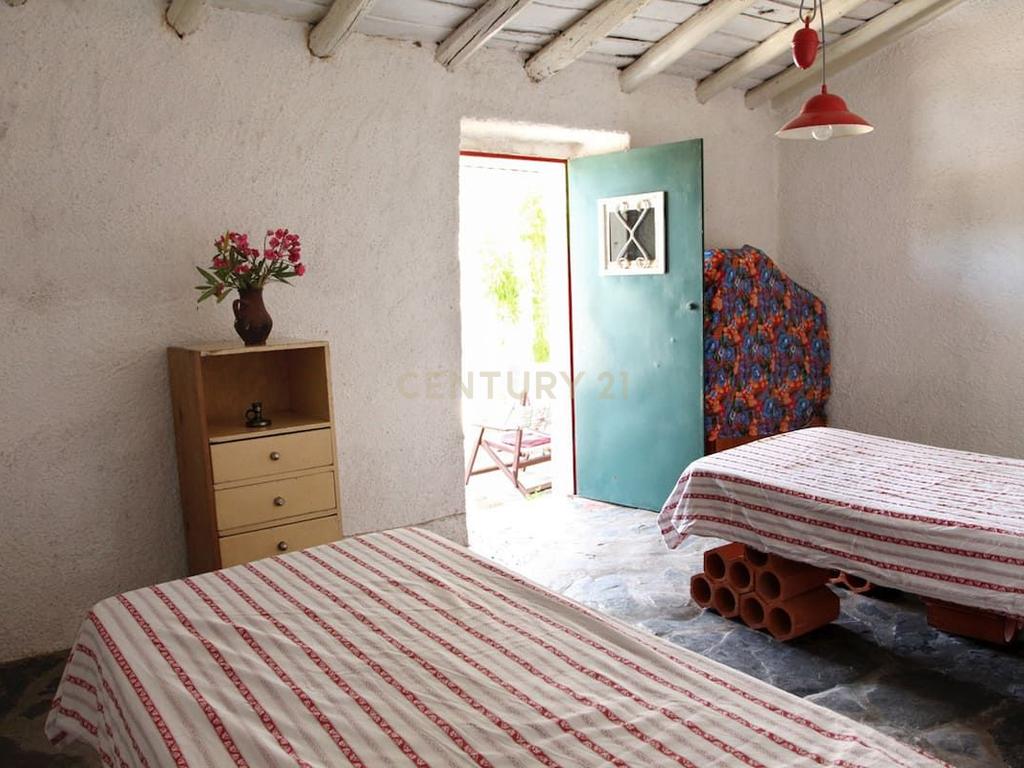 Monte típico Alentejano T2 Logradouro C /furo de água garagem e Olival - Image 4