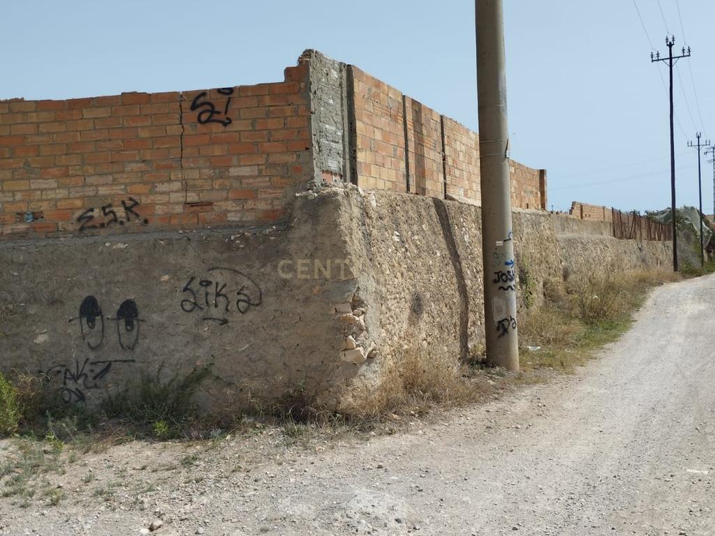 undefined - Image 6