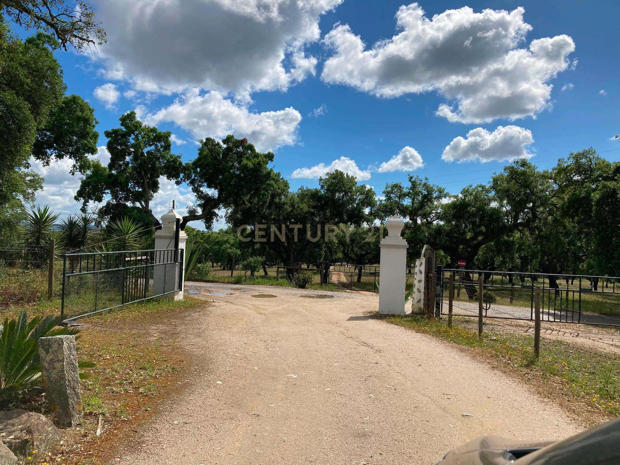 Herdade da Pedra Longa — Um Património Único no Coração do Alentejo