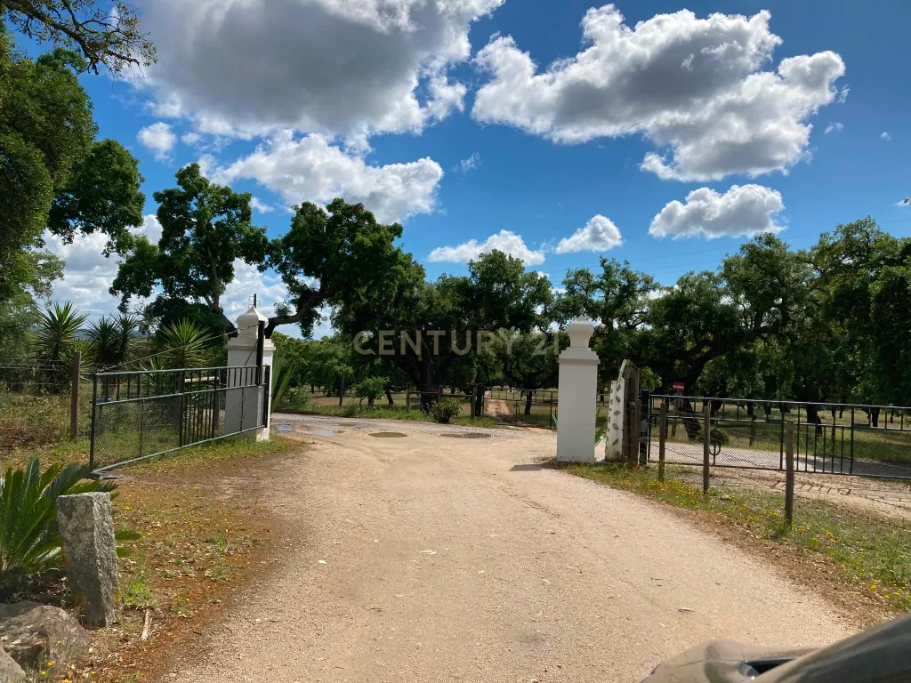 Herdade da Pedra Longa — Um Património Único no Coração do Alentejo - Image 1