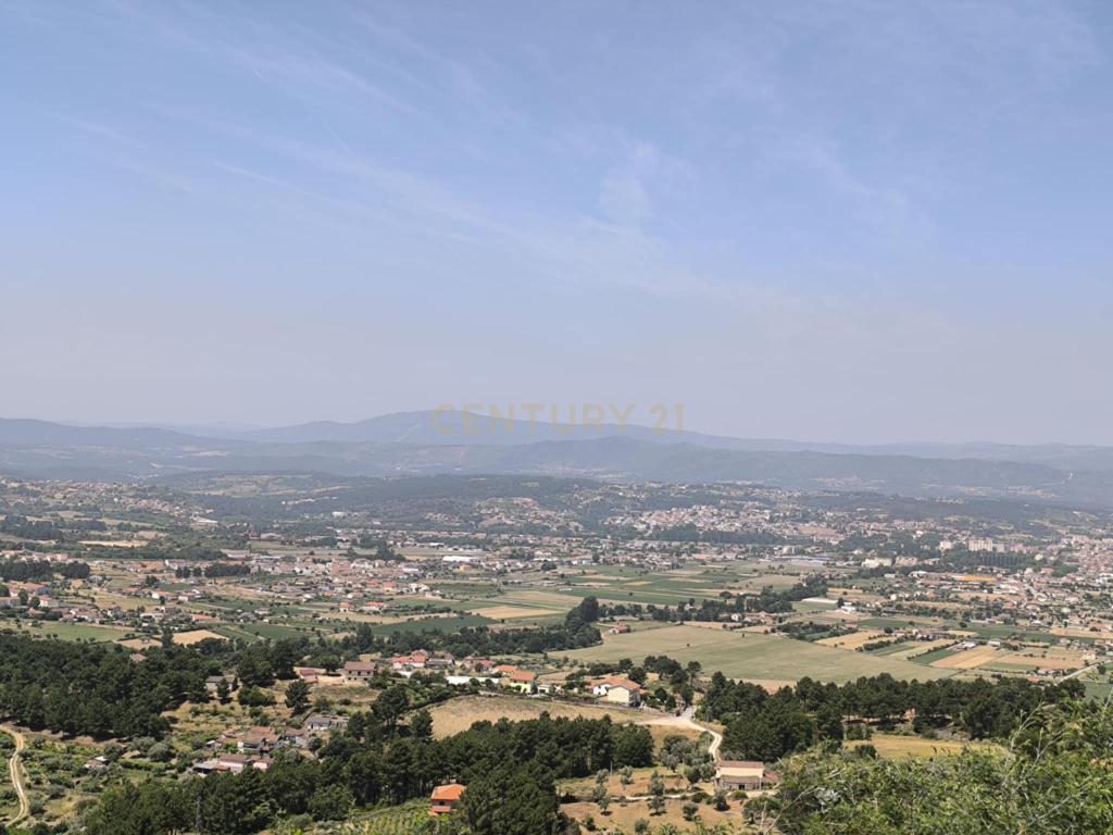 Casas prontas a habitar com terreno, arvores de fruto, forno e água própria. - Image 35