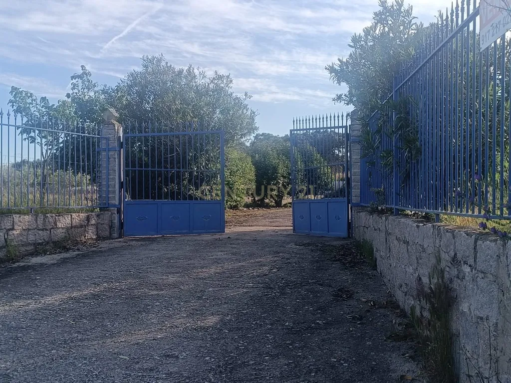 Excelente terreno em Santa Eulália Elvas - Image 1