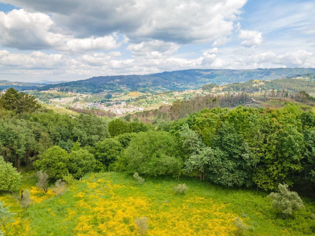 Terreno Urbano em Marco de Canaveses com Vista Campestre - Image 3