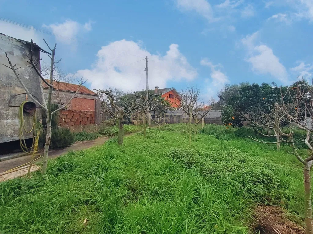 Moradia com Comércio em Amorim, Póvoa de Varzim - Uma Oportunidade Única! - Image 8