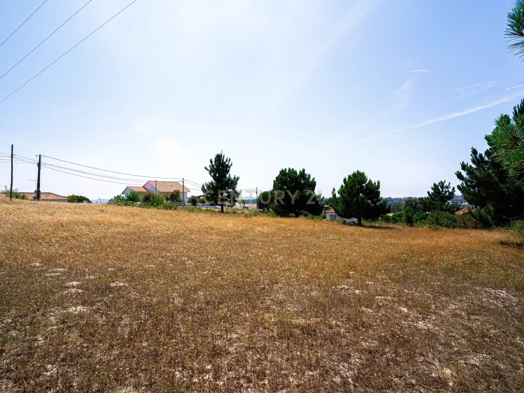 Terreno 4 910m2 | Nadadouro | Caldas da Rainha - Image 8