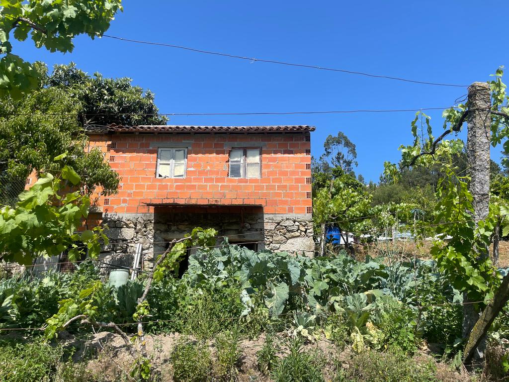 Terreno de 7.500 m² situado próximo ao lago, contendo uma casa a ser restaurada e um aviário automatizado altamente rentável. - Image 7