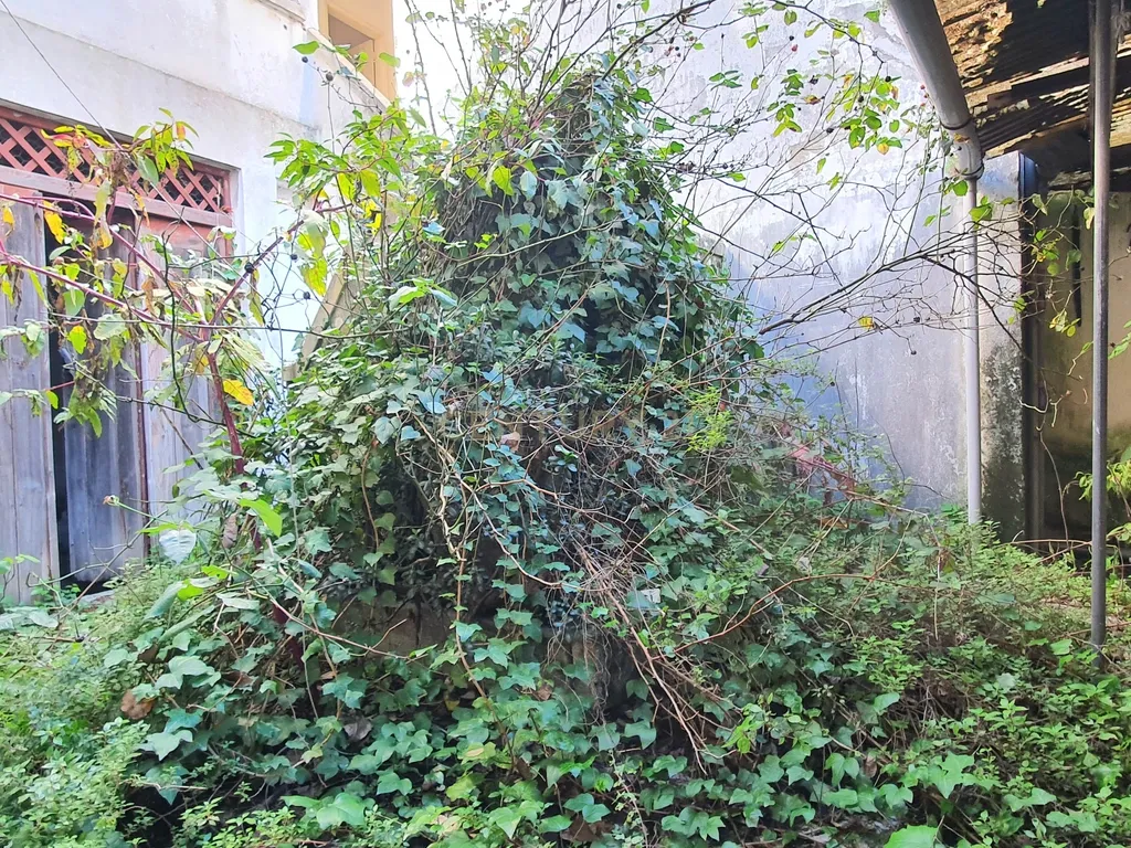 2 Moradias | Reabilitação | Centro Condeixa- A - Nova - Image 20