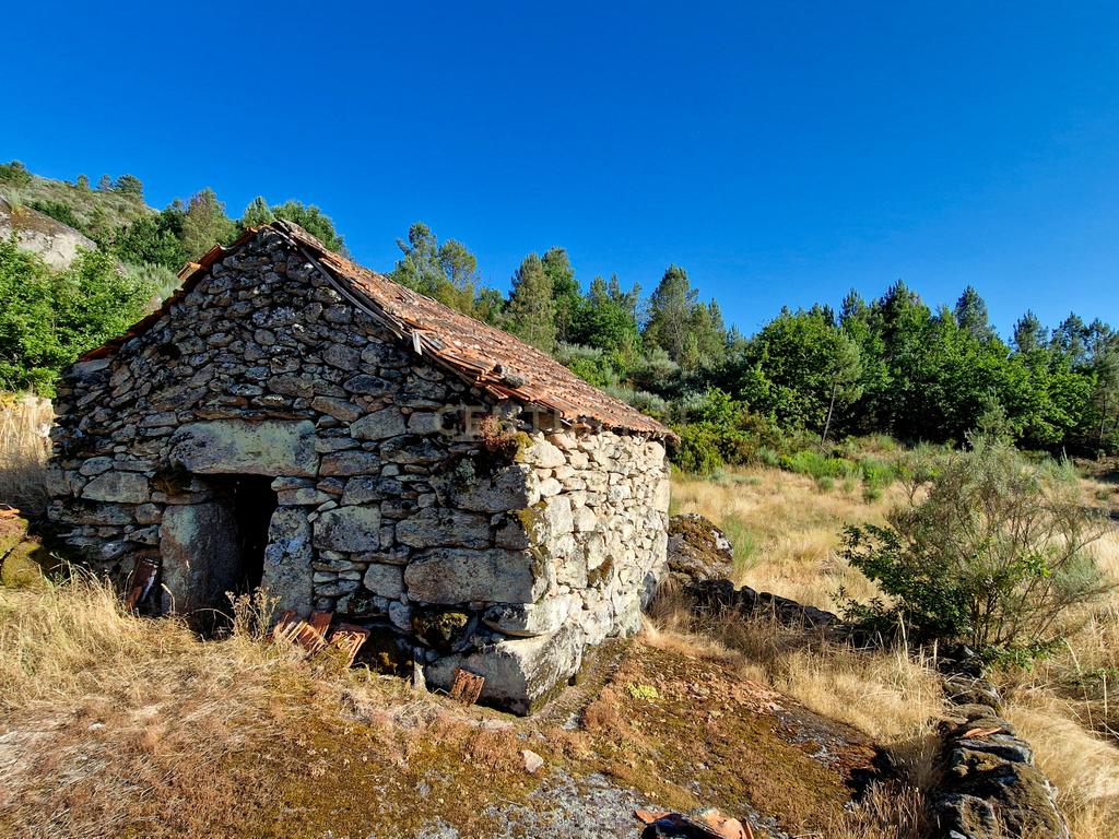 Quinta com Casa para Recuperação em Ferreira de Aves, Viseu - Image 11