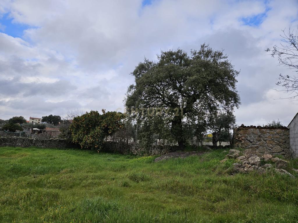 Quintinha na Lousa, Castelo Branco - Image 16