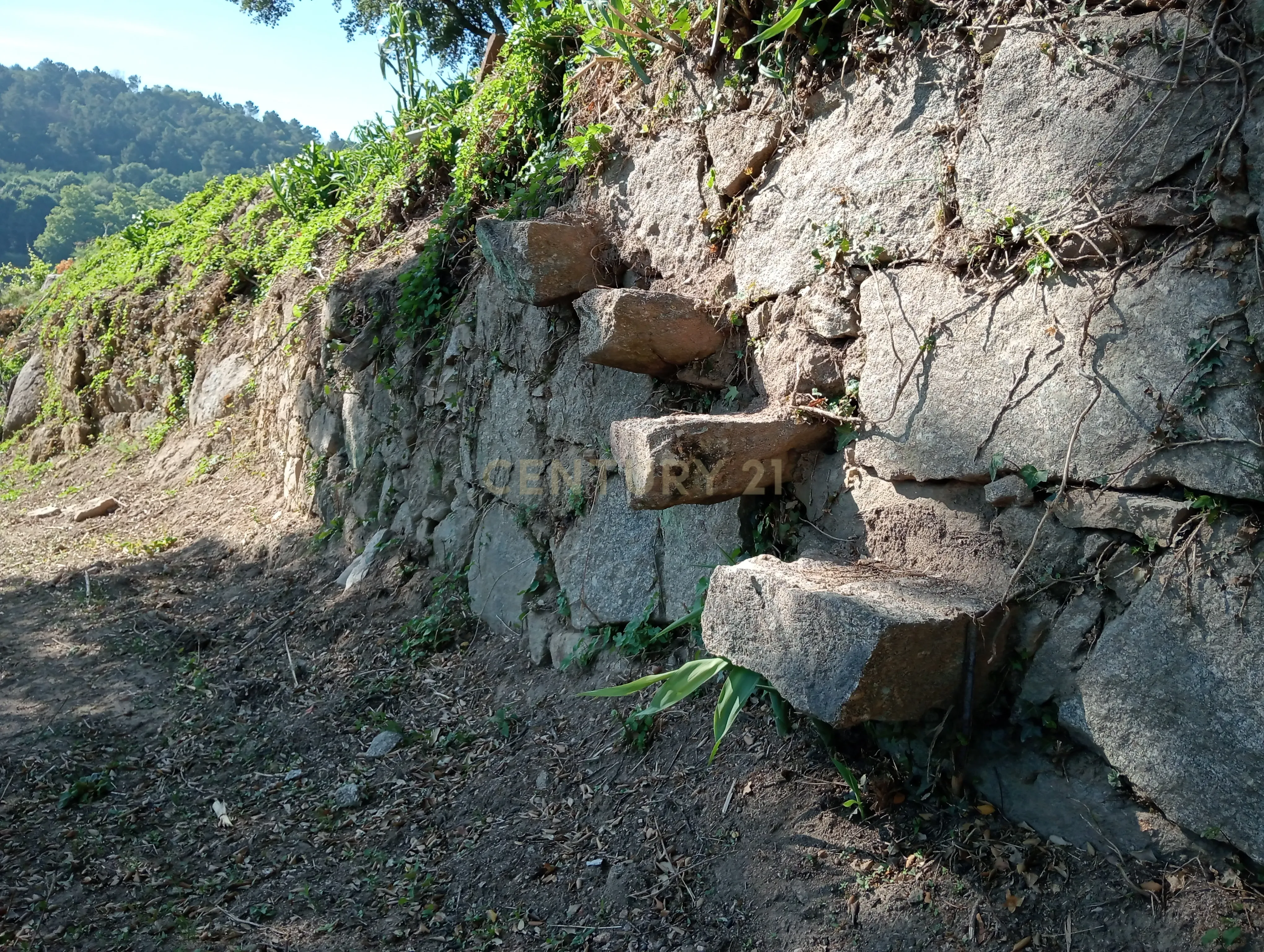 Moradia T2 à venda em Frende, Baião — foto 26