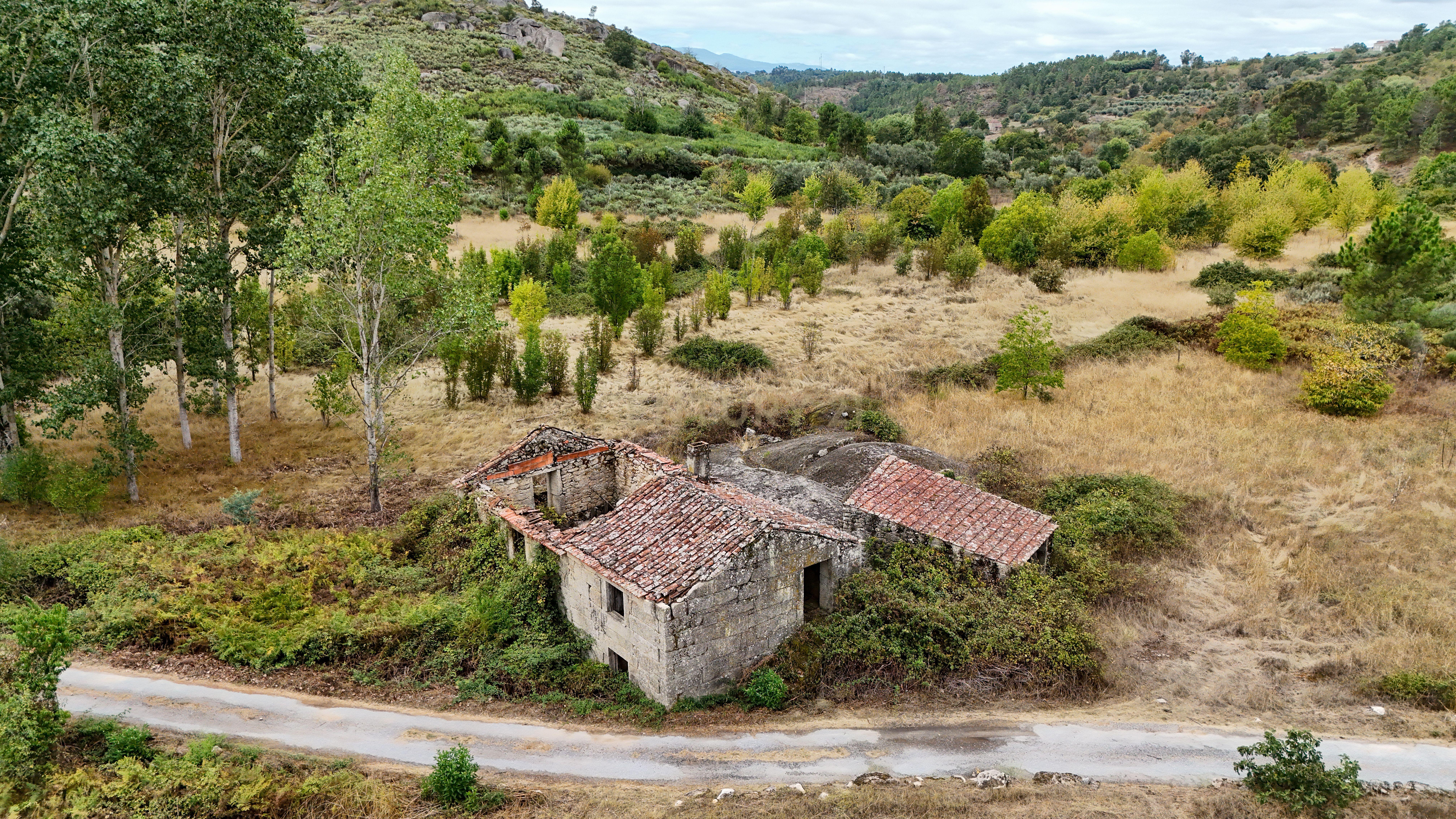 Fotografia 10 de Quinta com 37.000 m² e casa de pedra em Figueiró da Granja - Fornos de Algodres