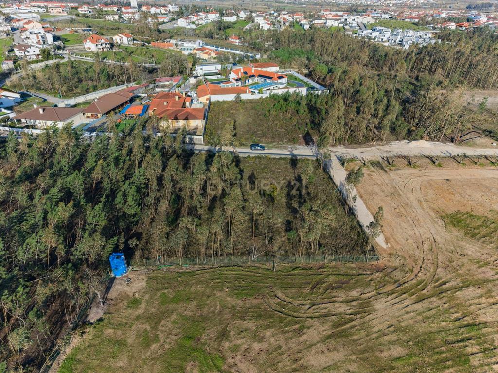 Terreno Rústico com Viabilidade de Construção — Barosa, Leiria - Image 12