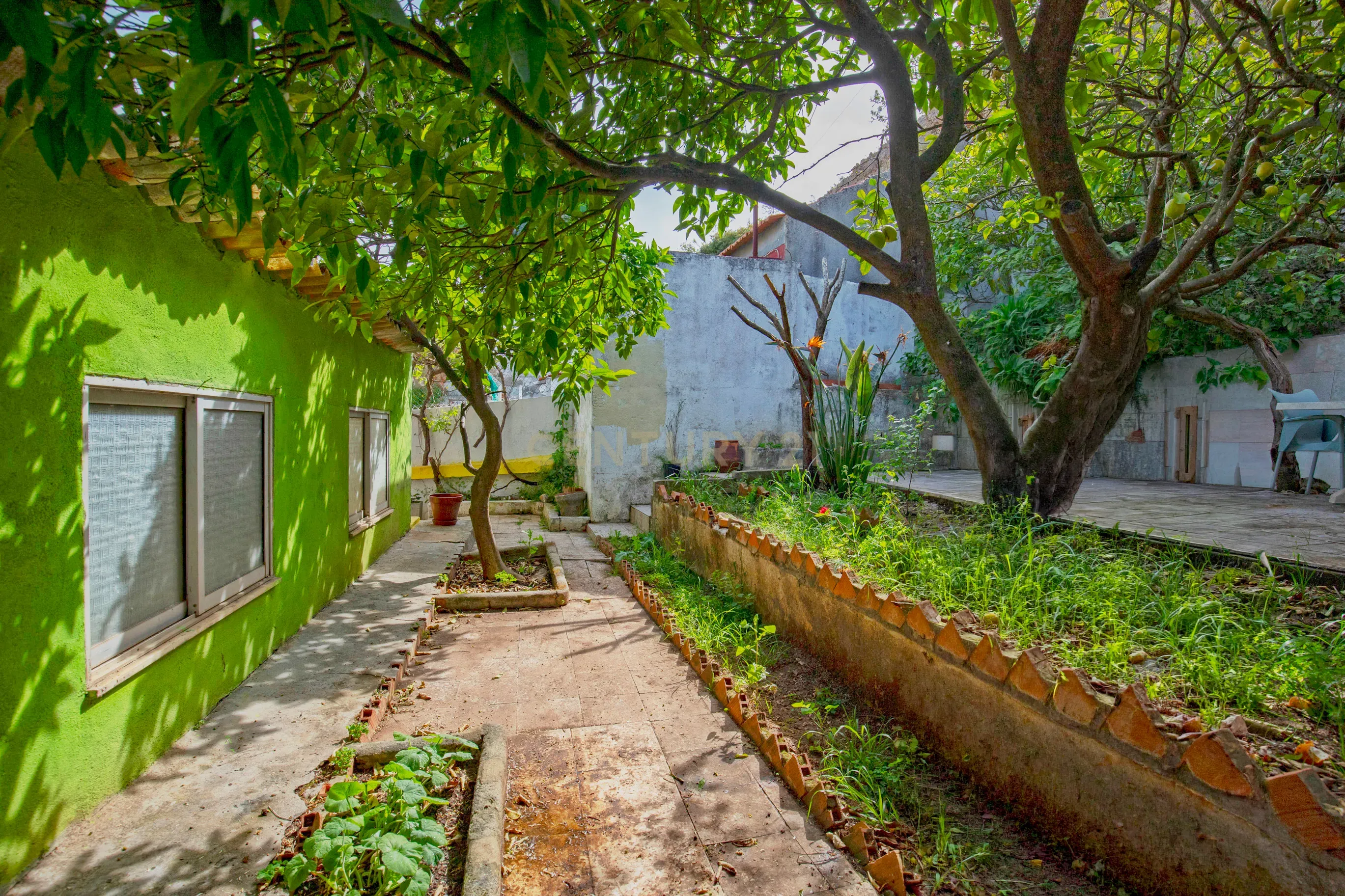 Fotografia 4 de Moradia com jardim e charme histórico em Setúbal