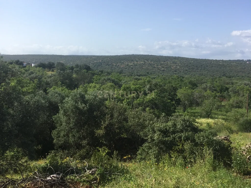 Moradia à venda em Benafim - Image 6