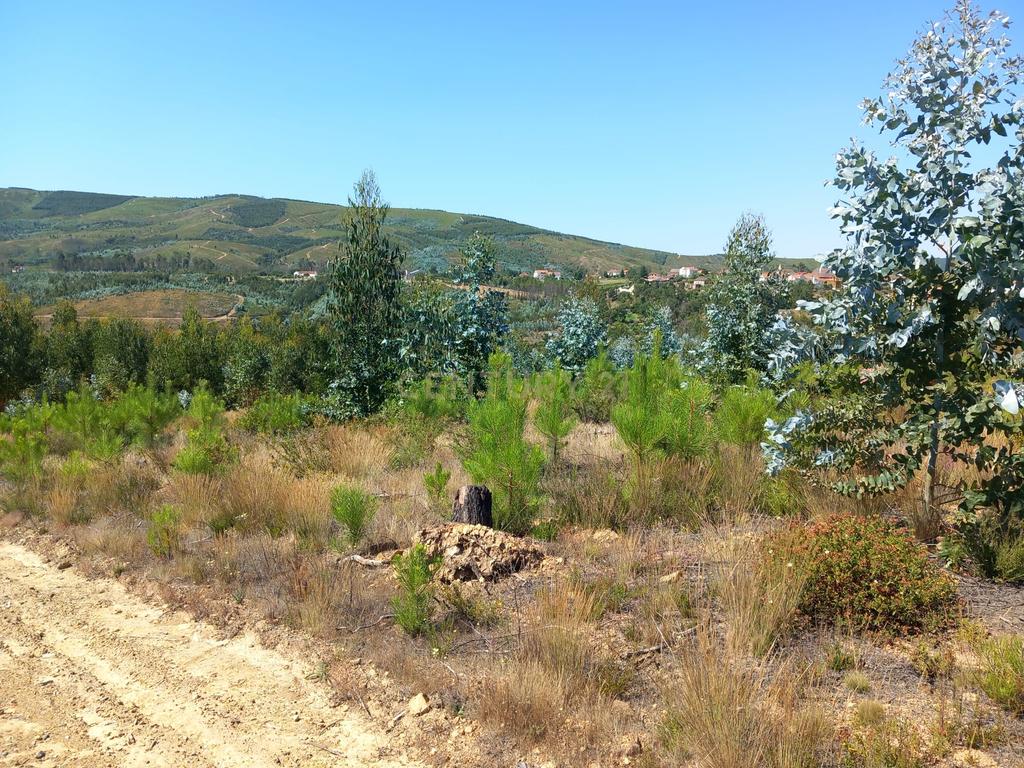 Terreno Rustico, Roqueiro - Image 6