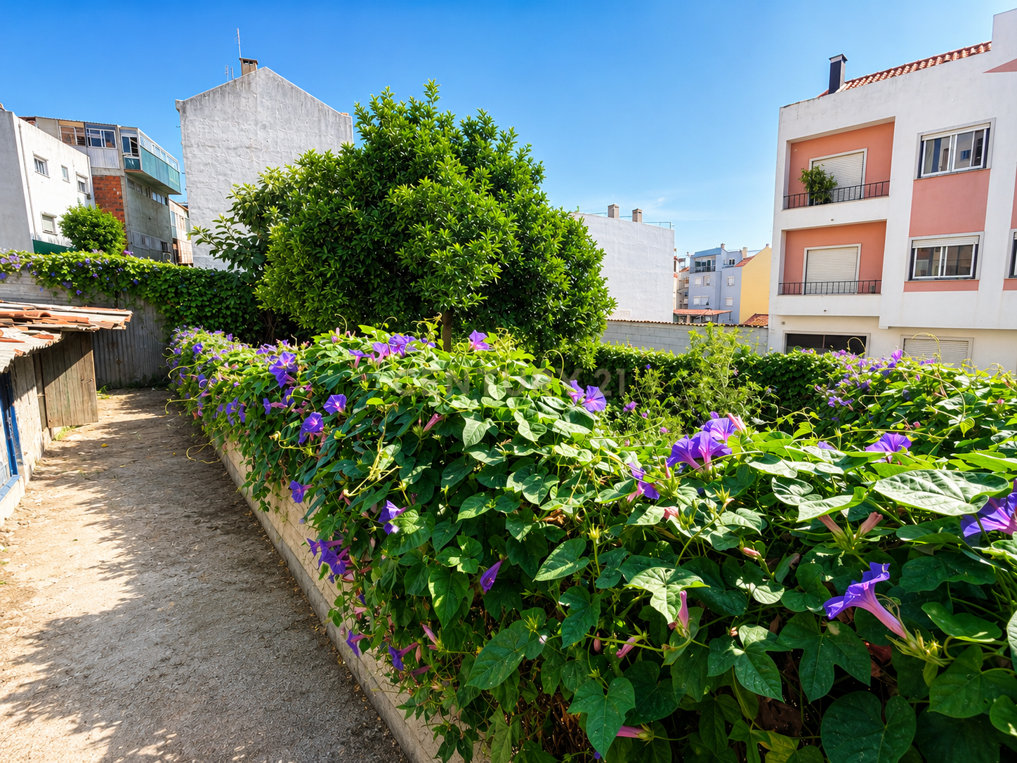TERRENO URBANO PARA CONSTRUÇÃO | BRANDOA | AMADORA
