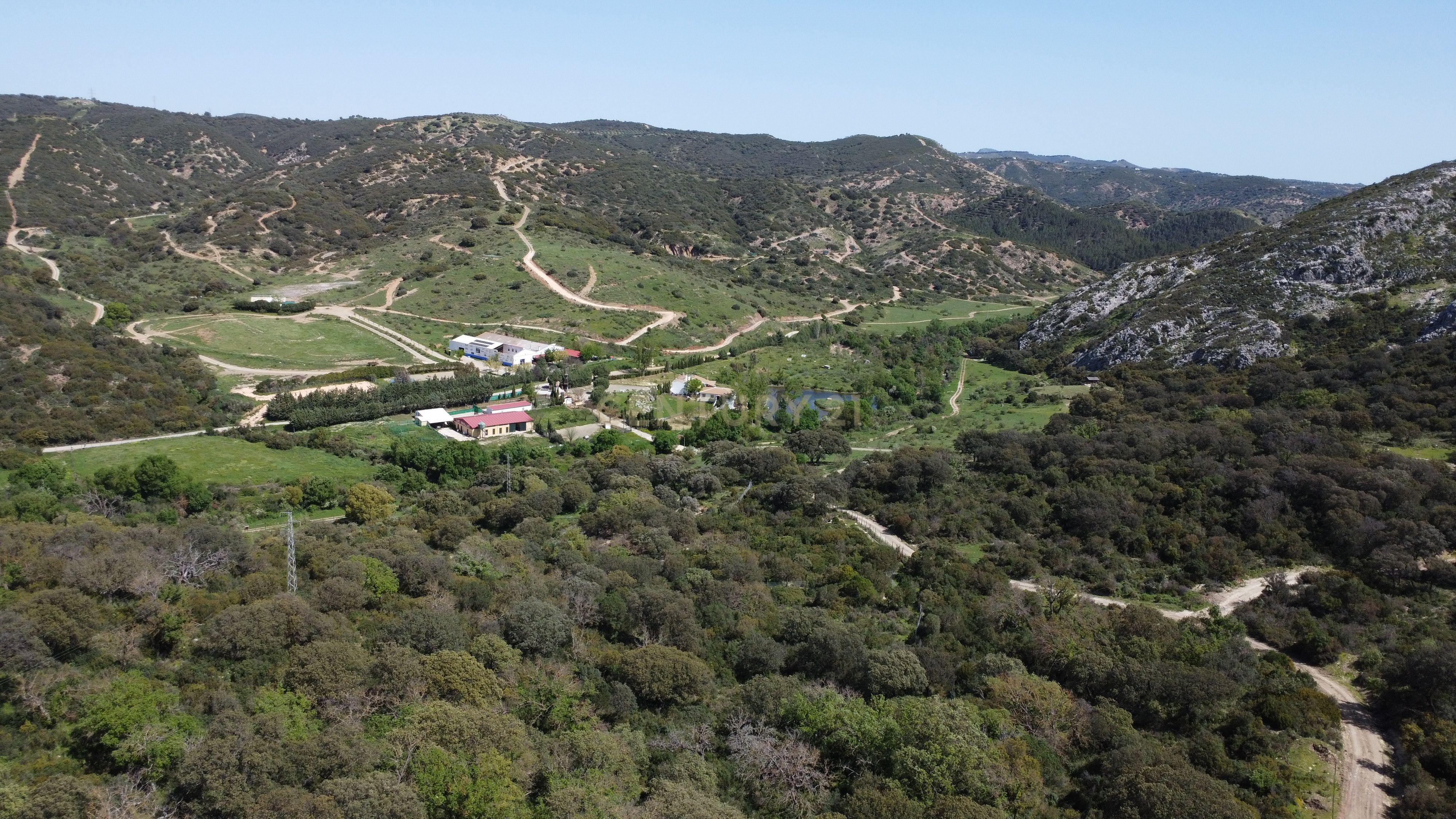 VENDA DE PROPRIEDADE RÚSTICA EM ANTEQUERA COM EXPLORAÇÃO DE AGROTURISMO - Image 6