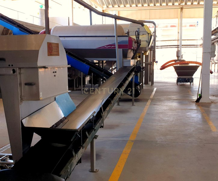 Herdades com produção Vinho, com 157,3ha situada em Terrugem, concelho de Elvas - Image 5