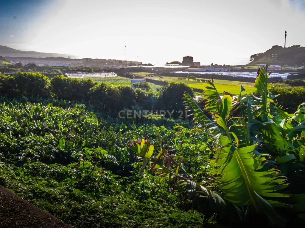 Propriedade Única com Estufas de Ananases e Potencial Urbano — Abelheira de Baixo, São Roque - Açores - Image 5