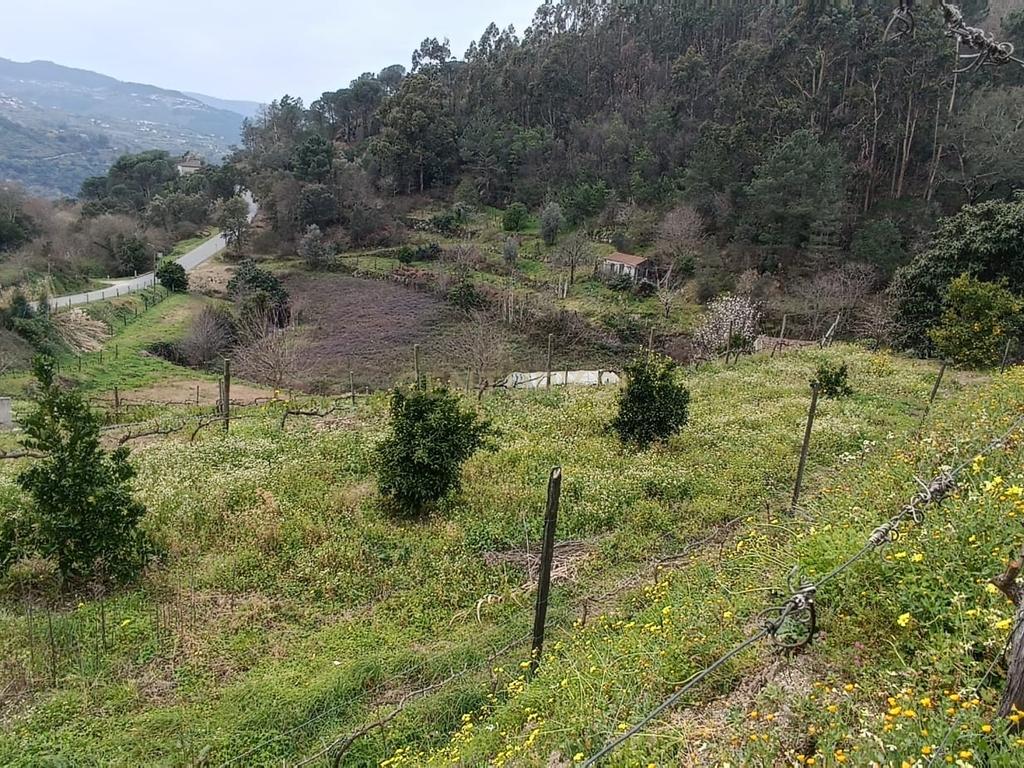 Casa com terreno de construção e agrícola perto do rio Douro em Granja, S. Tomé de Covelas, Baião, Porto - Image 30