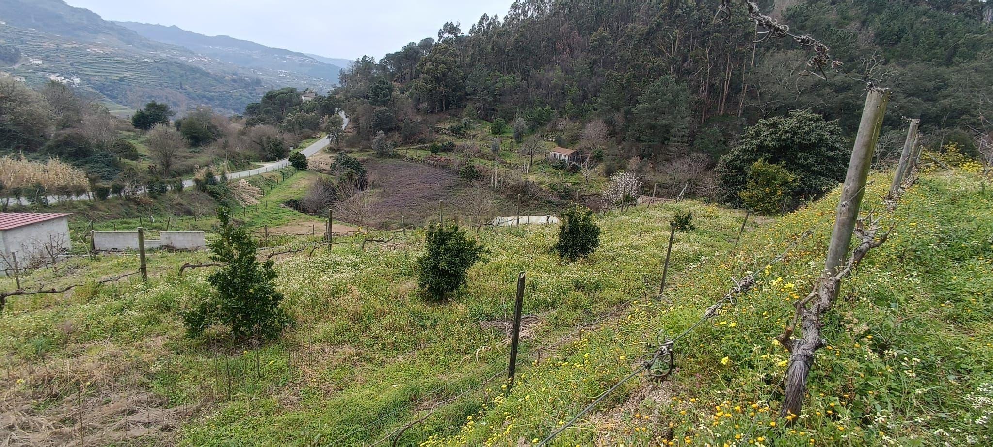 Terreno agrícola com àgua e viabilidade de construção em Granja, S. Tomé de Covelas, Baião, perto do do rio Douro, Porto - Image 32