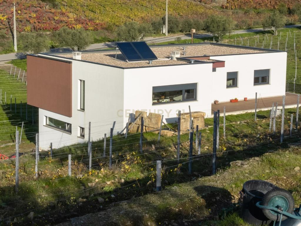 🏡Quinta com Moradia T3 e Vinha no Coração do Alto Douro Vinhateiro – Património Mundial da UNESCO - Image 51