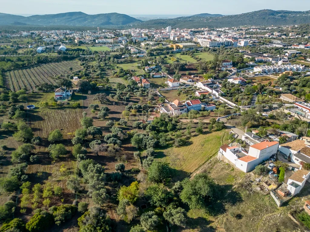 Terreno para construção na Campina – São Brás de Alportel - Image 9