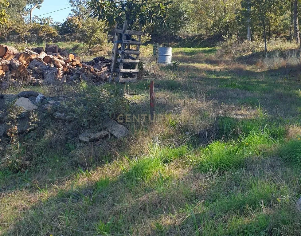 Moradia T3 +2 + Terreno Rústico de 3.700m2 em Fornos de Algodres - Image 17