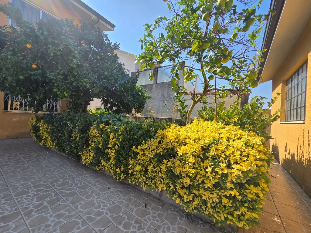 MORADIA T4 | JARDIM | GARAGEM | ANEXO | 4 FRENTES | RC E 1 ANDAR | VALONGO - Image 30