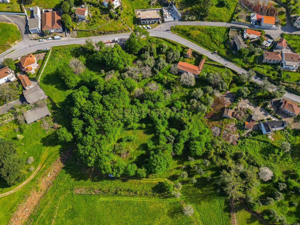 🌿 Quinta Rústica com 15.075 m² | Para Recuperar | Póvoa de Lanhoso, Braga - Image 4
