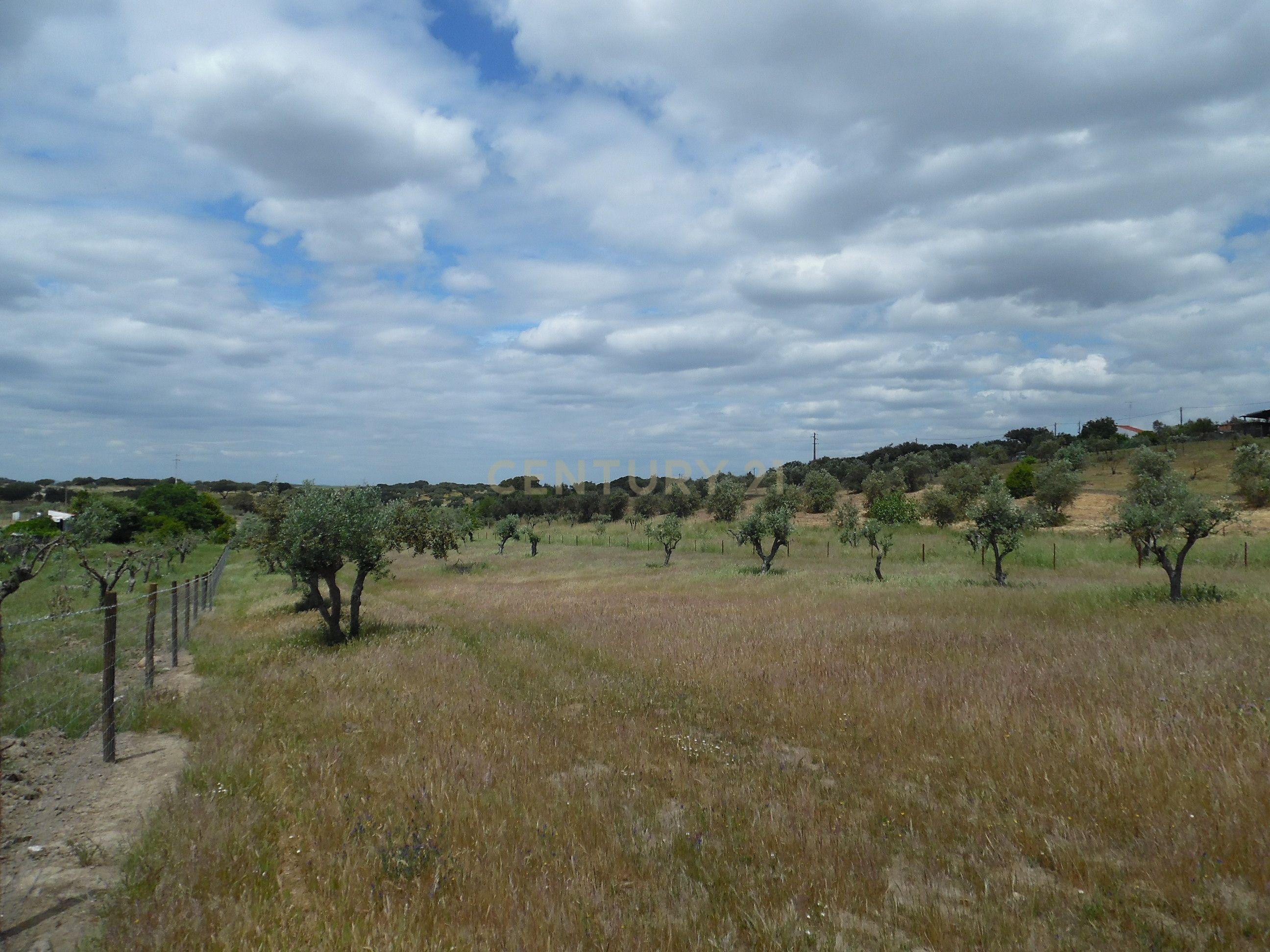 Moradia T3 à venda em Capelins (Santo António), Alandroal — foto 30