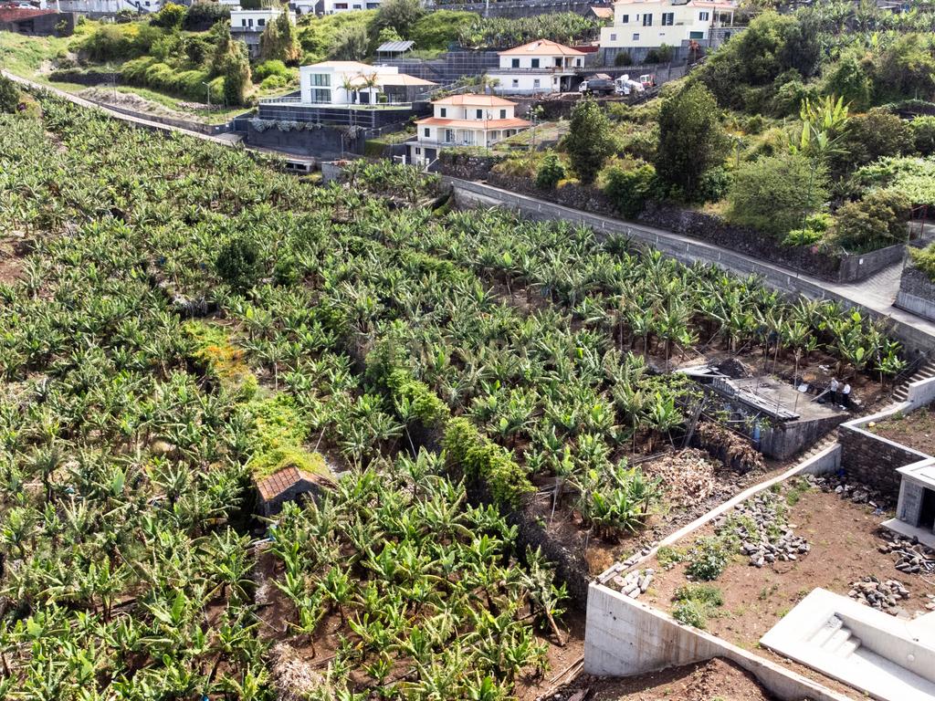 Terreno para construção 1946m2 - Arco da Calheta - Image 12