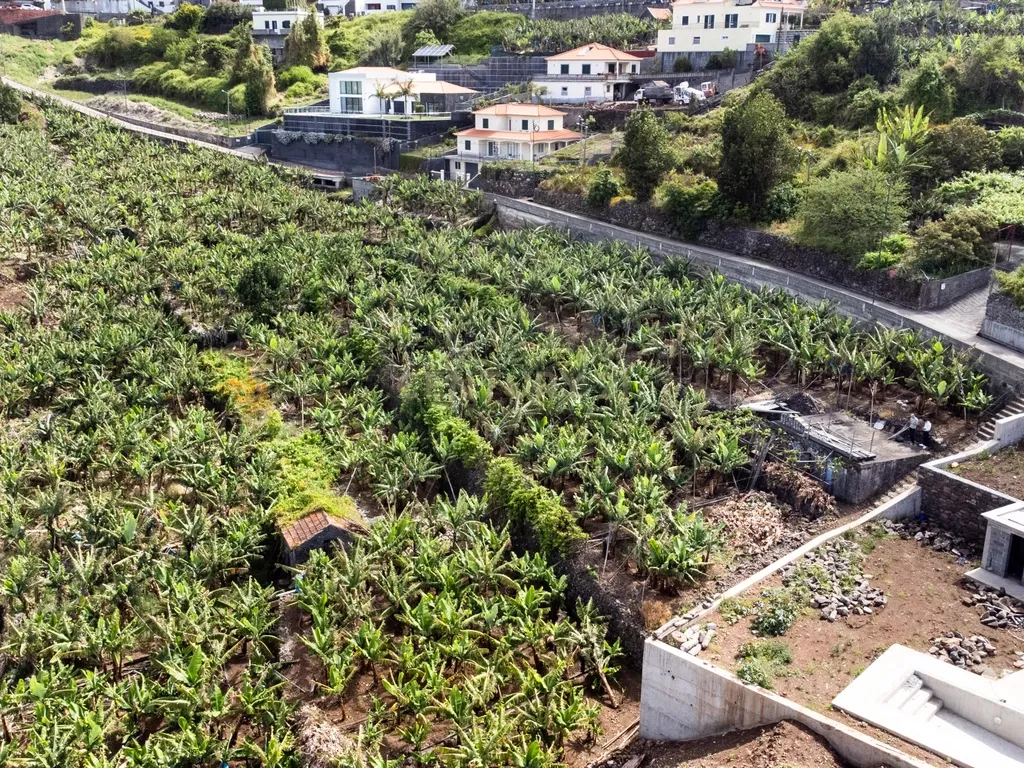 Terreno para construção 1946m2 - Arco da Calheta - Image 12