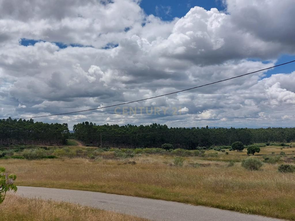 Terreno em Alcafozes, Idanha a Nova com Vista e Árvores de Fruto - Image 2