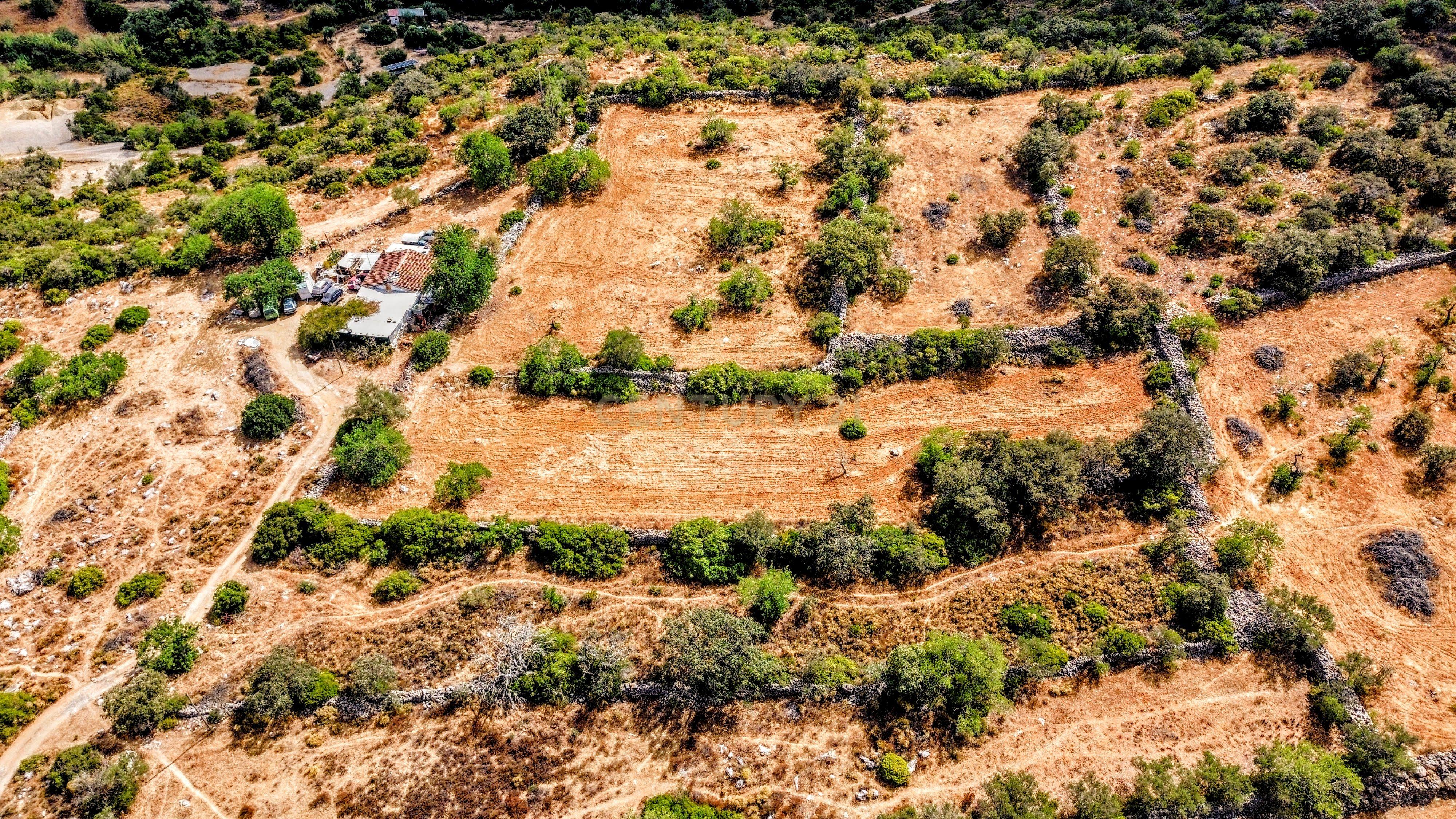 Fotografia 5 de Oportunidade Única: 2 Terrenos Rústicos Próximos de São Brás de Alportel