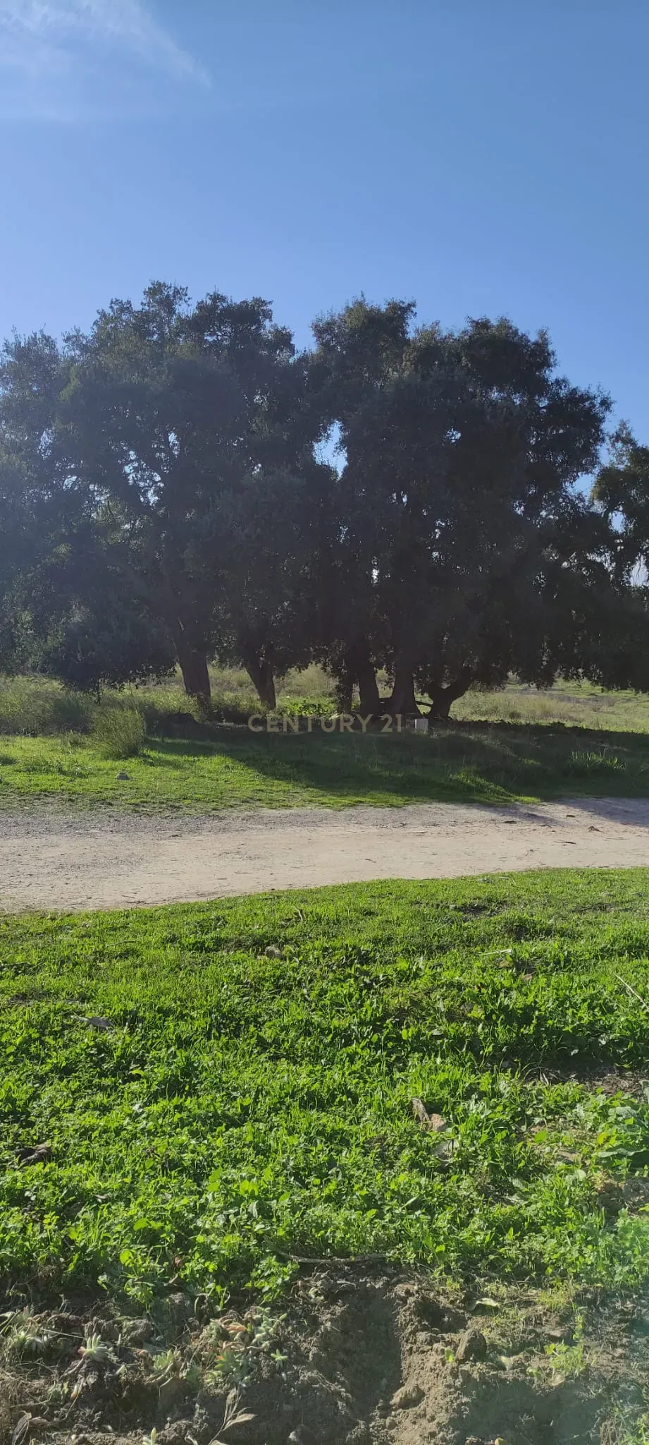 Terreno c/ projeto de loteamento aprovado para 10 lotes a 20 min de Lisboa  - Image 15