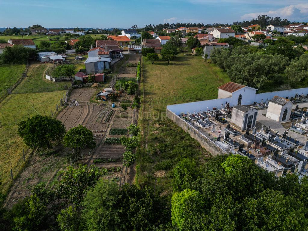 Moradia para Reabilitar com Terreno de 2.590m² em Gatões – Montemor-o-Velho - Image 14