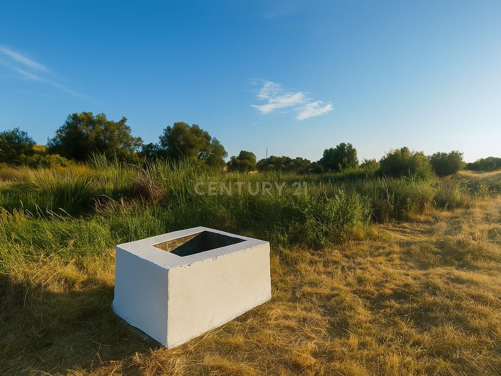 Monte Alentejano com 5 Hectares – Puro Sossego no Coração do Alentejo - Image 18