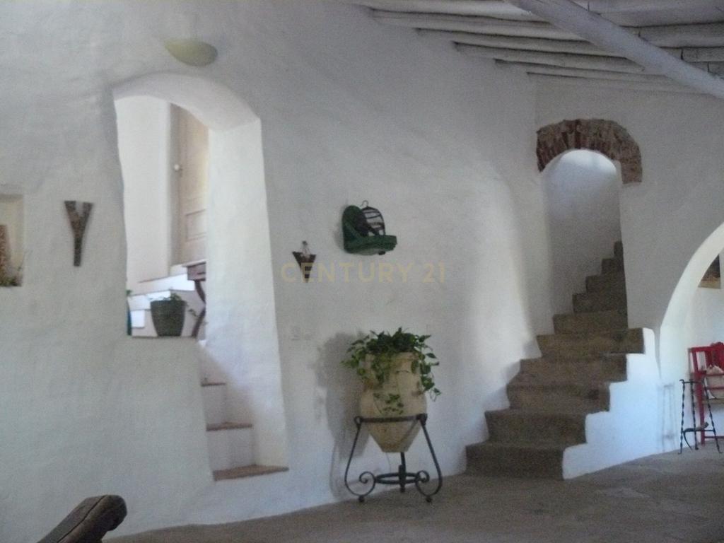 Quinta Típica Alentejana, Licença de Turismo Rural, Arrendamento, Arraiolos - Image 5