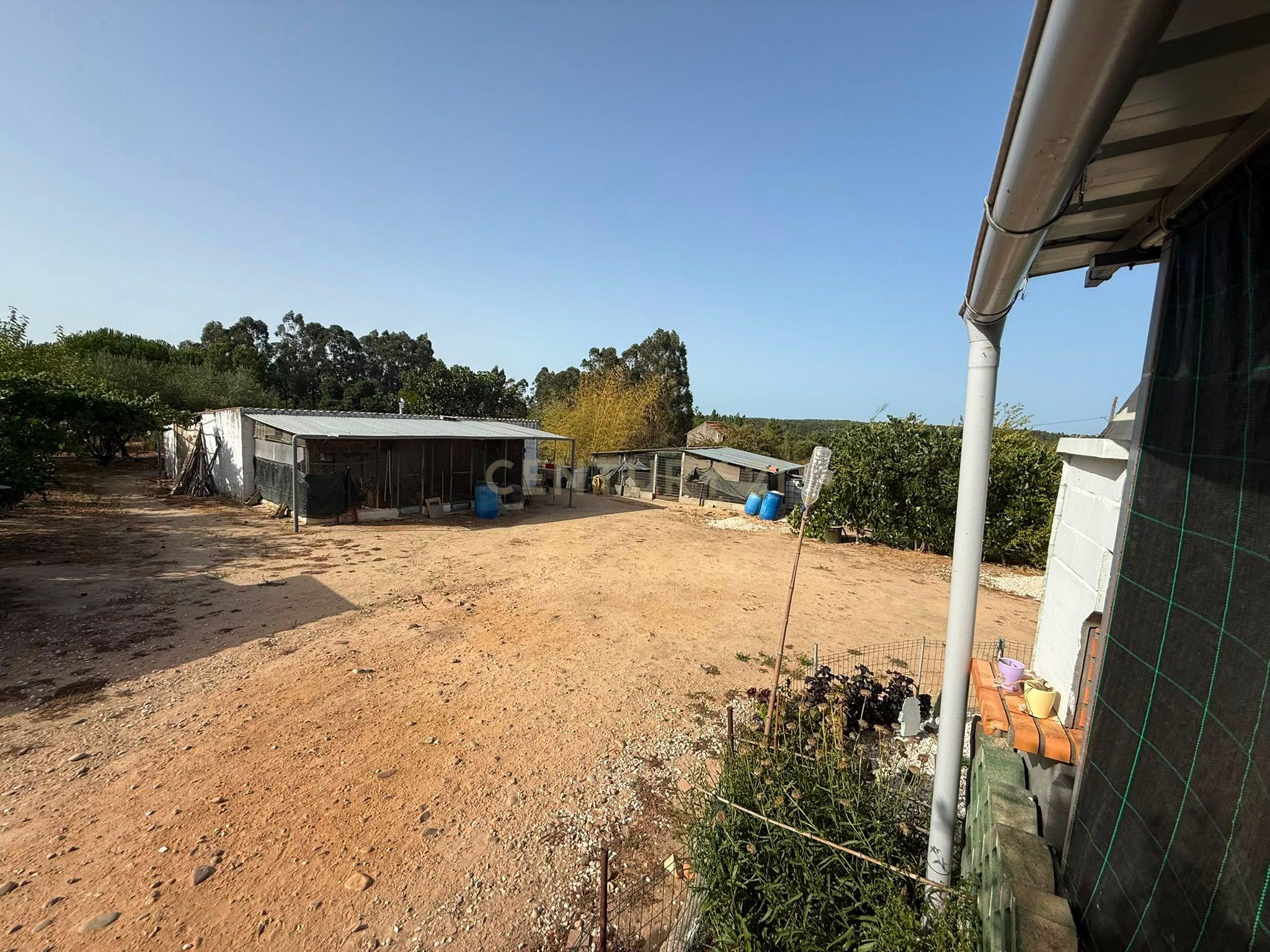 Fotografia 12 de Moradia t2 com 10.280 M² DE TERRENO E UM RIACHO