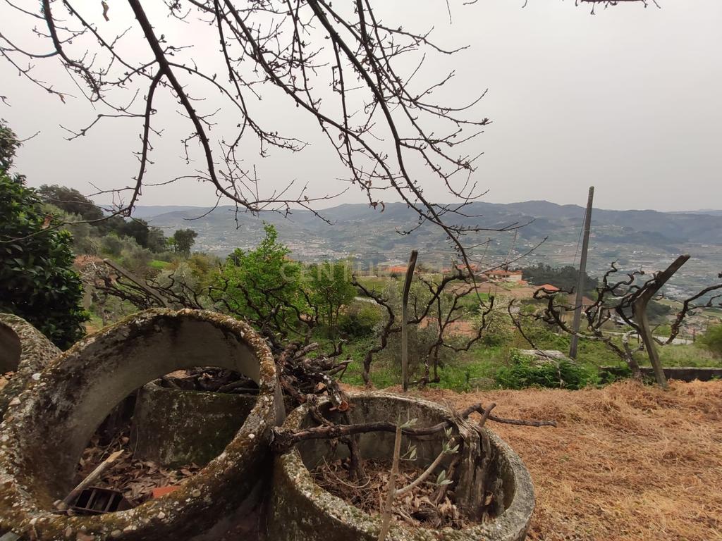 Terreno com casinha e vista para o rio Douro, em S. Tomé de Covelas, Baião para projeto agrícola - Image 51